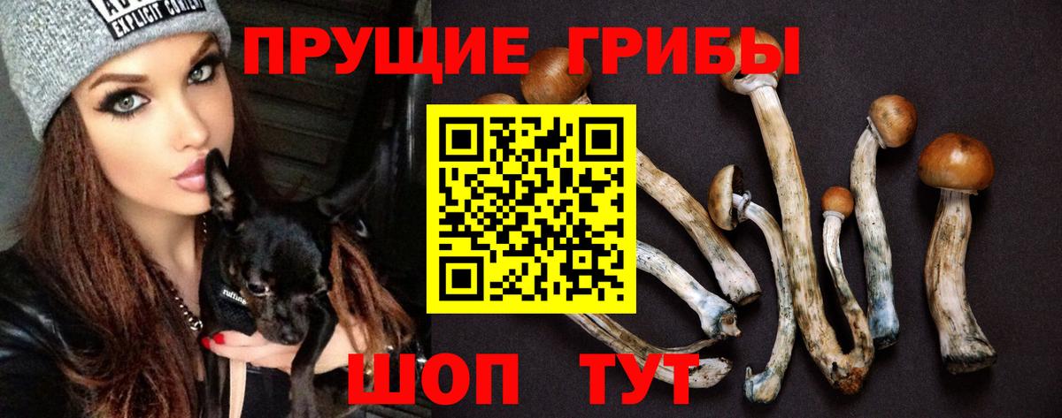 Кизилюрт  цены наркотик  Вход с VPN  Галлюциногенные грибы ЛСД 