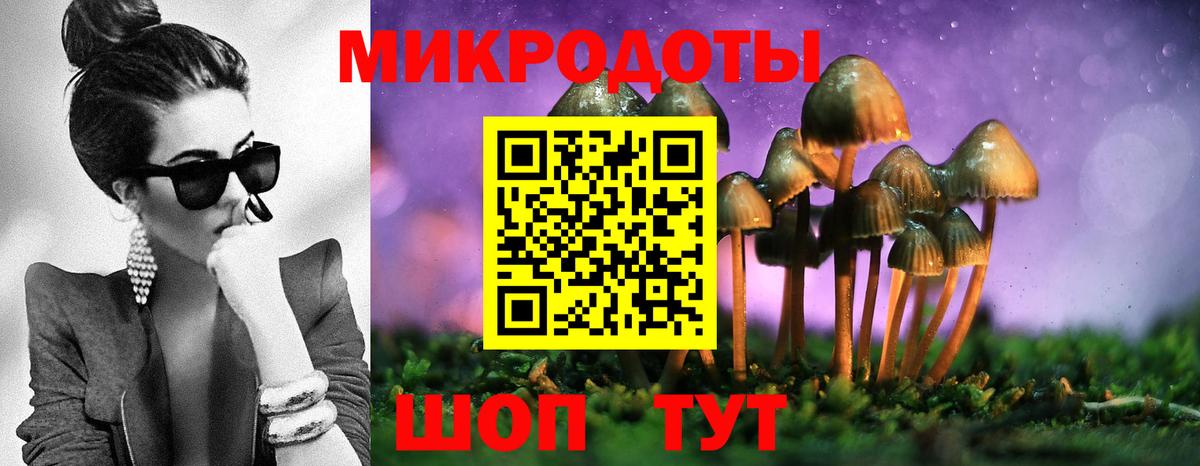 Галлюциногенные грибы мицелий Кизилюрт
